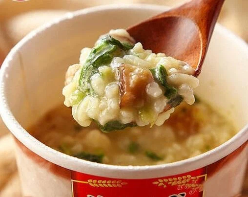 Instant Freeze-dried Porridge Food Freeze Dryer